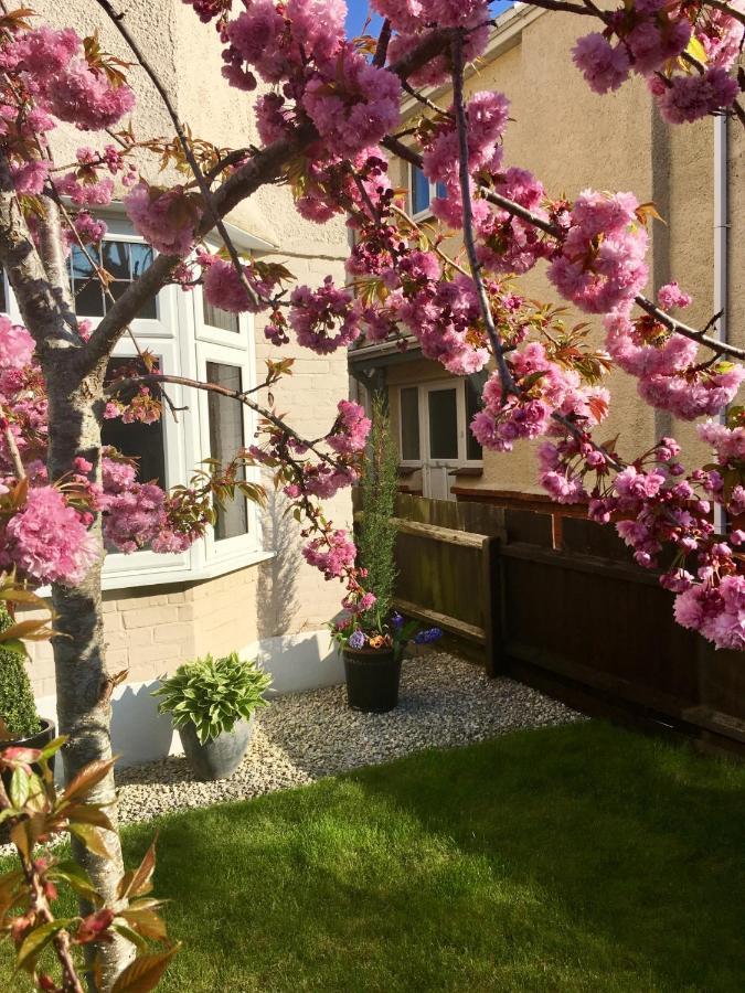 Bed and Breakfast Cherry Tree House Bournemouth Exteriér fotografie
